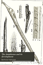The Amphioxus and its development,
