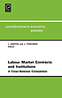 Labour market contracts and institutions : a cross-national... by Joop Hartog