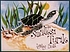 The smallest turtle 著者： Lynley Dodd