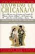 Growing up Chicana/o by  Tiffany Ana López 