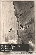 The bird watcher in the Shetlands, with some notes on seals--and digressions;