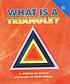 What is a triangle? by  Rebecca Kai Dotlich 