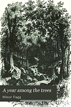 A year among the trees; or, The woods and by-ways of New England