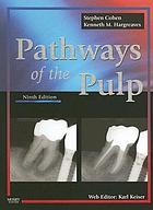 Pathways of the pulp