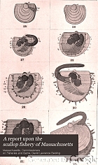 A report upon the scallop fishery of Massachusetts : including the habits, life history of Pecten irradians, its rate of growth, and other facts of economic value.