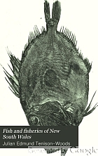 Fish and fisheries of New South Wales.