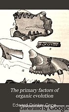 The primary factors of organic evolution