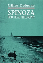 Spinoza, practical philosophy
