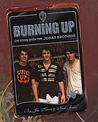 Burning up : on tour with the Jonas Brothers