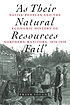 'As their natural resources fail' : native peoples and the economic history of northern Manitoba, 1870-1930