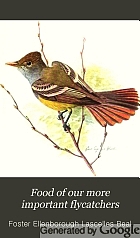 Food of our more important flycatchers