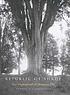 Republic of shade : New England and the American... de  Thomas J Campanella 