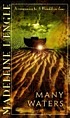 Many waters von Madeleine L'Engle