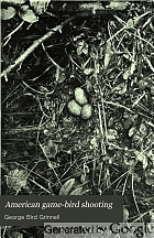 American game-bird shooting