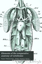 Elements of the comparative anatomy of vertebrates.