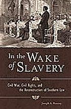 In the wake of slavery : Civil War, Civil Rights, and the reconstruction of Southern law