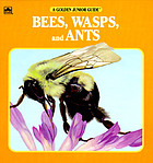 Bees, wasps, and ants