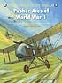 Pusher aces of World War 1 Pusher aces of World War 1
