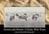 The Parramore sketches : scenes and stories of early West Texas The Parramore sketches : scenes and stories of early West Texas