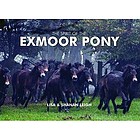 Spirit of the Exmoor pony