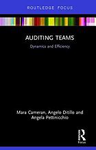 Auditing teams : dynamics and efficiency