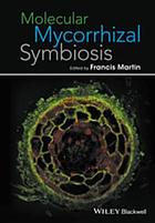 Molecular mycorrhizal symbiosis