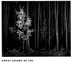 Ansel Adams at 100