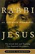 Rabbi Jesus : an intimate biography Rabbi Jesus : an intimate biography