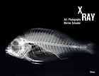 X-Ray. Art-photographer.