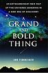 A Grand and Bold Thing : an Extraordinary New... 저자: Ann K Finkbeiner