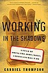 Working in the shadows : a year doing the jobs... by  Gabriel Thompson 