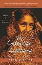 To Catch the Lightning : a Novel of American Dreaming.