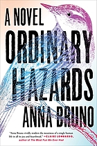 Ordinary hazards : a novel