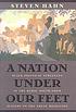 A nation under our feet : Black political struggles... by  Steven Hahn 