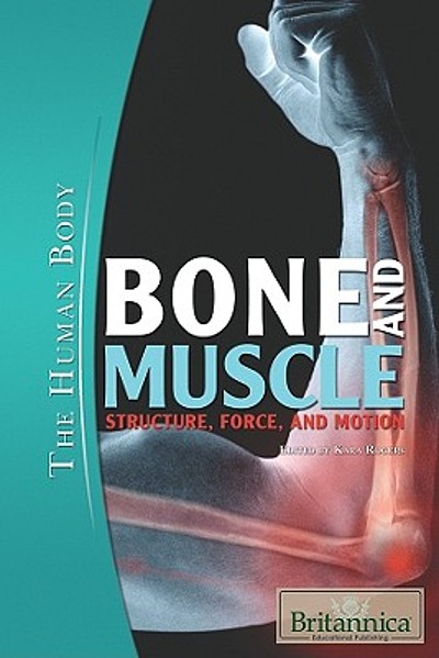 Bone and muscle : structure, force, and motion | WorldCat.org