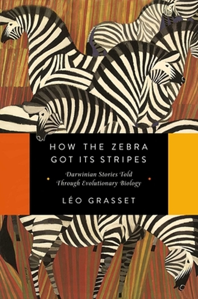Zoologger: Don't bite – how the zebra got its stripes