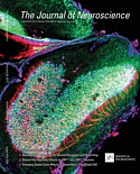 The journal of neuroscience : the official journal of the Society for Neuroscience.