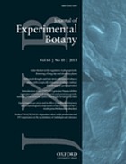 Journal of experimental botany