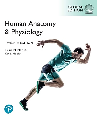 Human anatomy & physiology Biology Diagrams