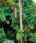 Environmental science