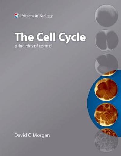 The cell cycle : principles of control Biology Diagrams