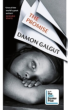 Front cover image for The promise
