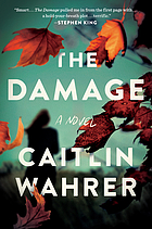 The damage : a novel
