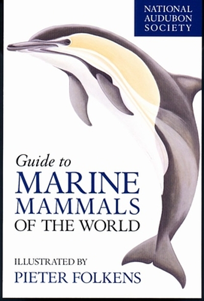 Marine animals of southern New England and New York: Identification keys to  common nearshore and shallow water macrofauna (Bulletin): Weiss, Howard M:  9780942081060: : Books
