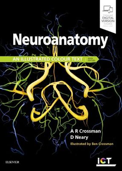 Neuroanatomy: Draw It to Know It (English Edition) - eBooks em Inglês na