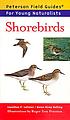 Shorebirds by  Jonathan P Latimer 