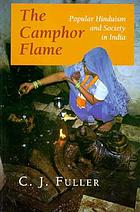 The camphor flame : popular Hinduism and society in India