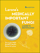 Front cover image for Larone's medically important fungi : a guide to identification