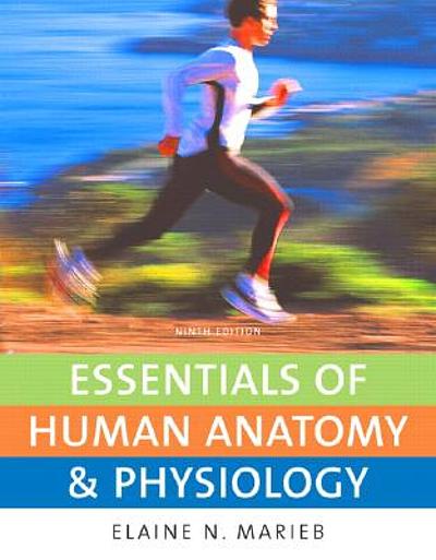 Anatomy And Physiology Textbook Pearson