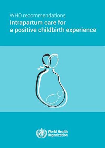 Who Recommendations On Intrapartum Care For A Positive Childbirth ...